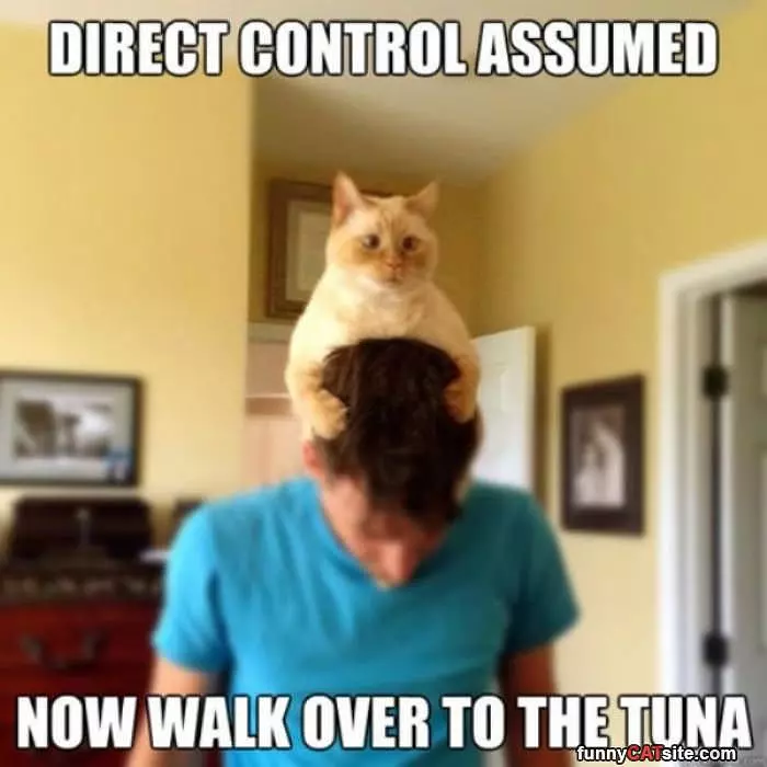 Direct Control Assumed