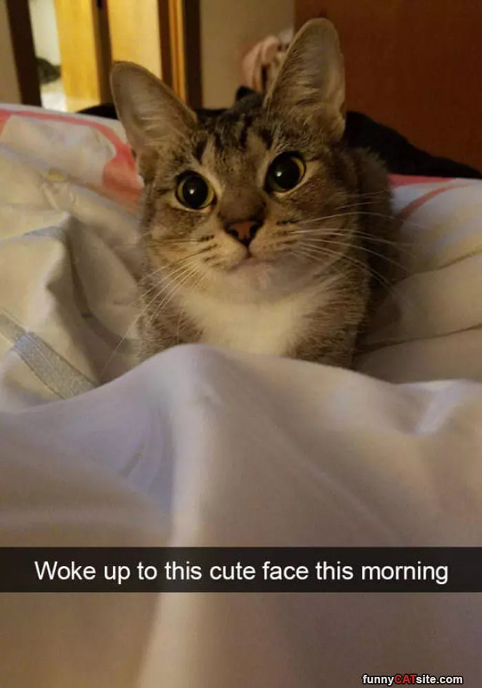 Woke Up To This Cute Face