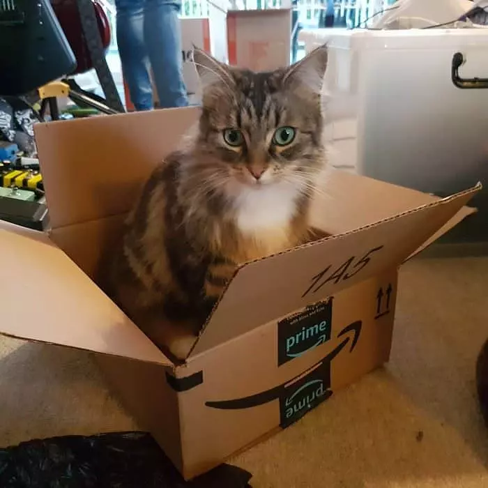 I Got My Box
