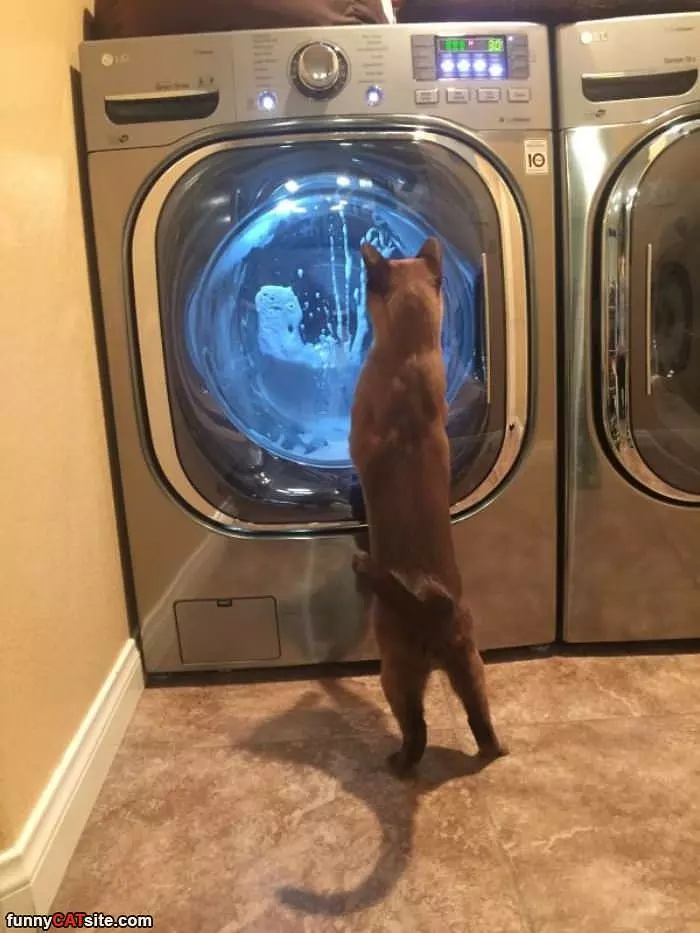 Watching The Laundry