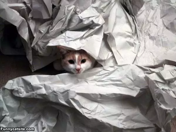 Paper Fort