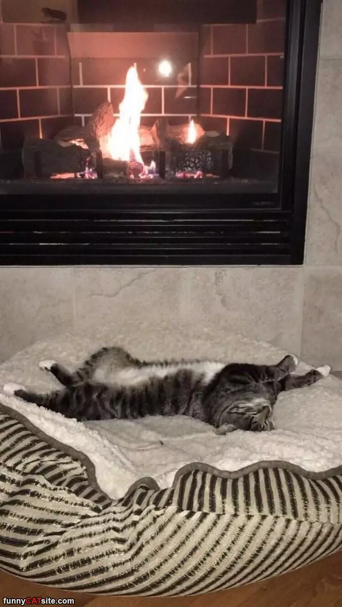 Warming Up By The Fire
