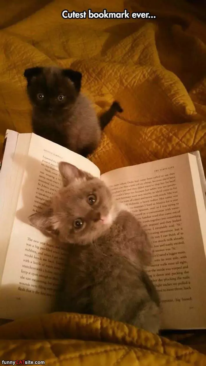 The Cutest Bookmark Ever